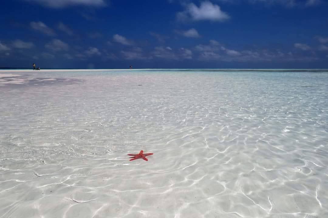 Isola di Robinson