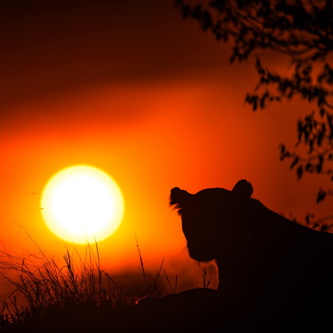 Grand Tour Kenya